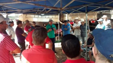 Buscando soluções para a greve em Chapecó, Xanxerê, Bom Jesus, Xaxim e Abelardo Luz (28/02/2105)