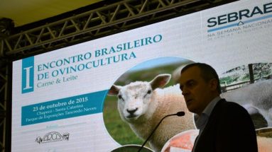 I Encontro Brasileiro de Ovinocultura