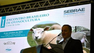 I Encontro Brasileiro de Ovinocultura