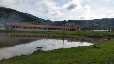 Encontro de Ovinocultura na fazenda, Pinheiro Seco, município de Bom Retiro